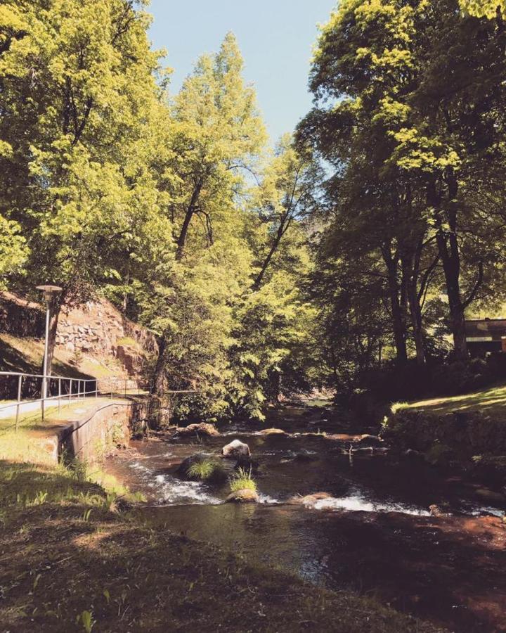 Schwarzwald Maedl Daire Bad Wildbad Dış mekan fotoğraf
